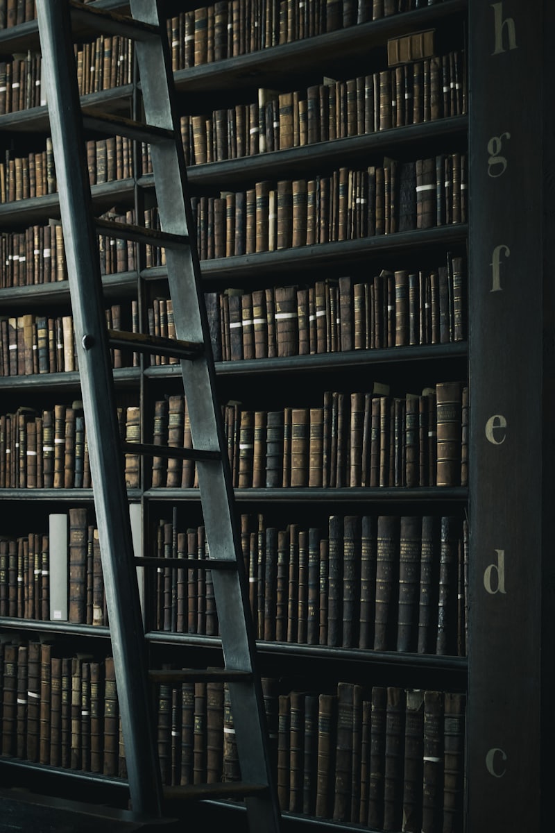 A library shelf beside a wooden ladder